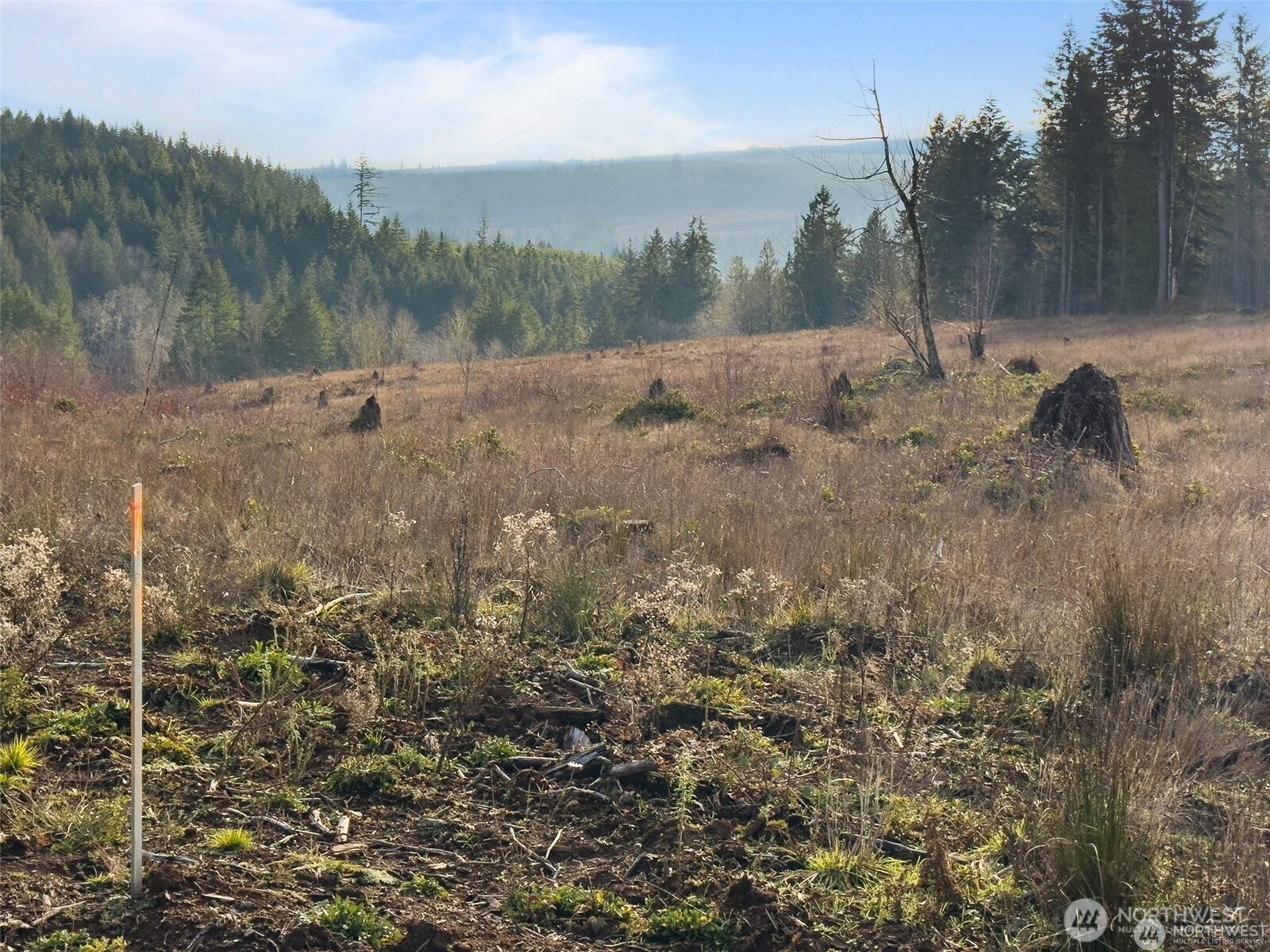 607 Brown Chehalis, WA 98532 - Photo 26 of 31 a view of a yard with a tree