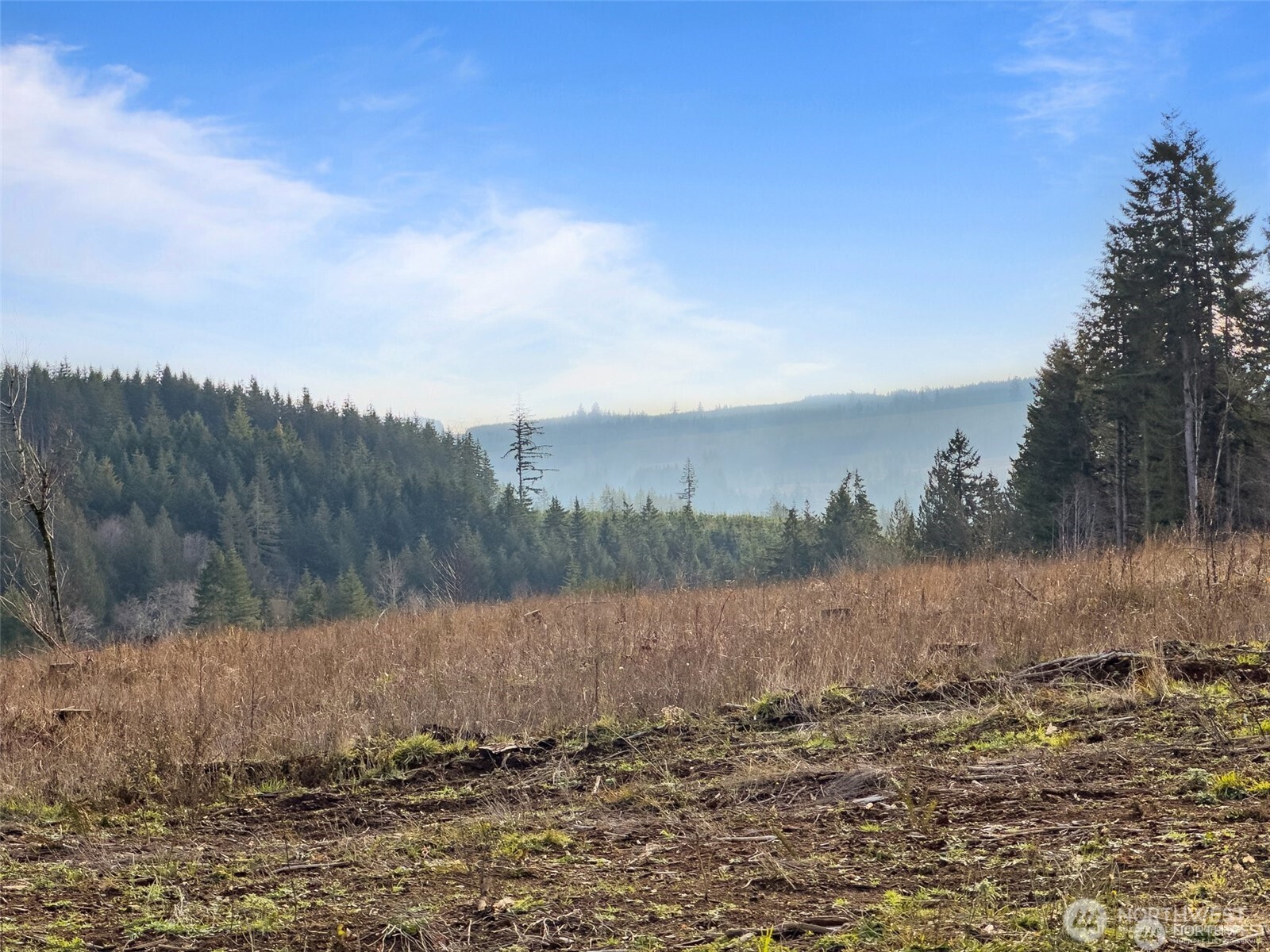607 Brown Chehalis, WA 98532 - Photo 27 of 31 a view of a dry yard with trees