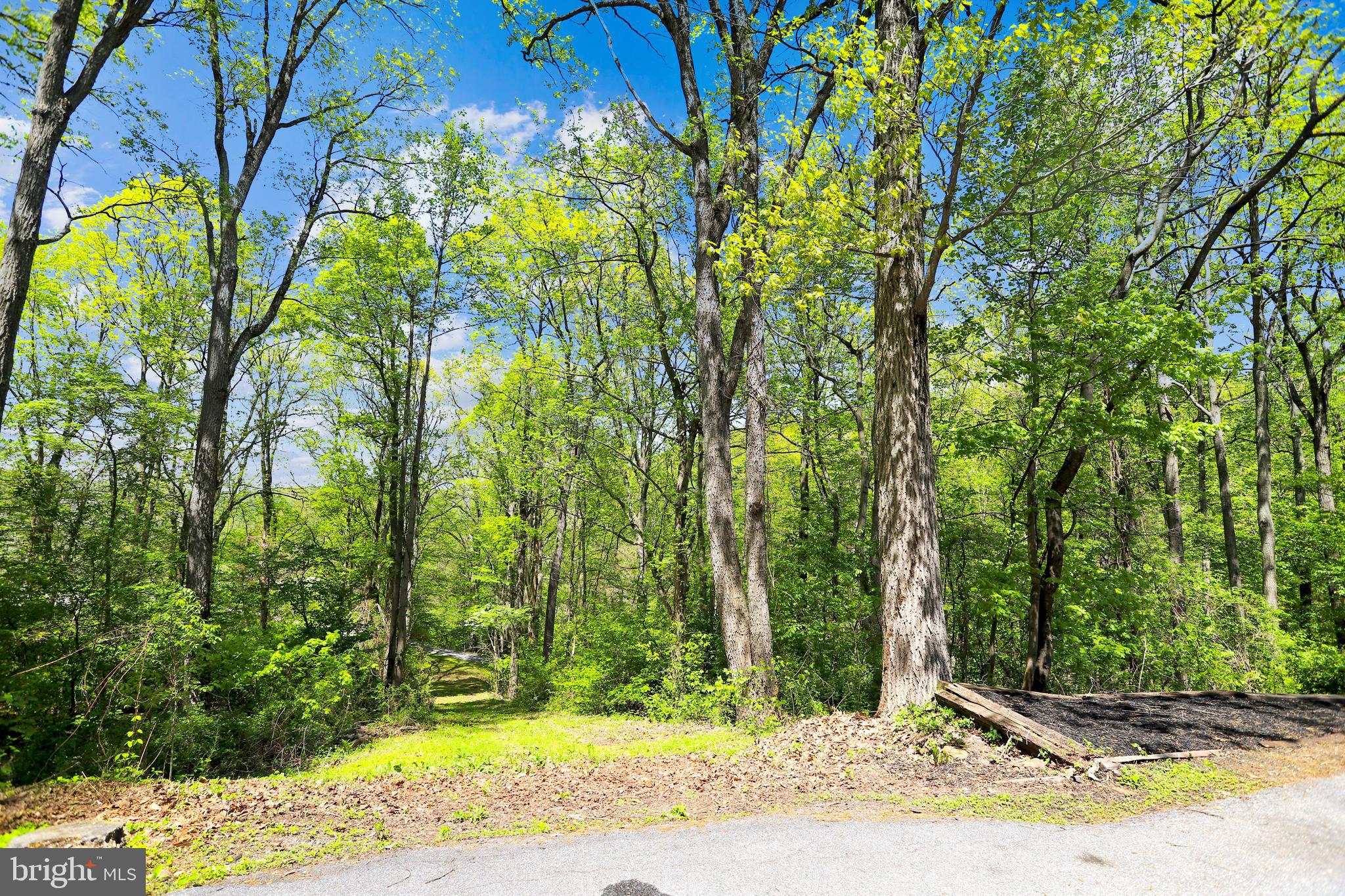 2075 Manchester Road Westminster, MD 21157 - Photo 25 of 43 Front of Lot WIth Rough Cut Lane