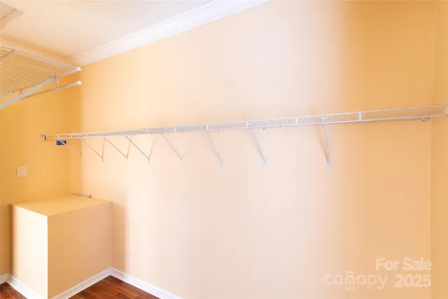 a bathroom with a shower and a shower curtain