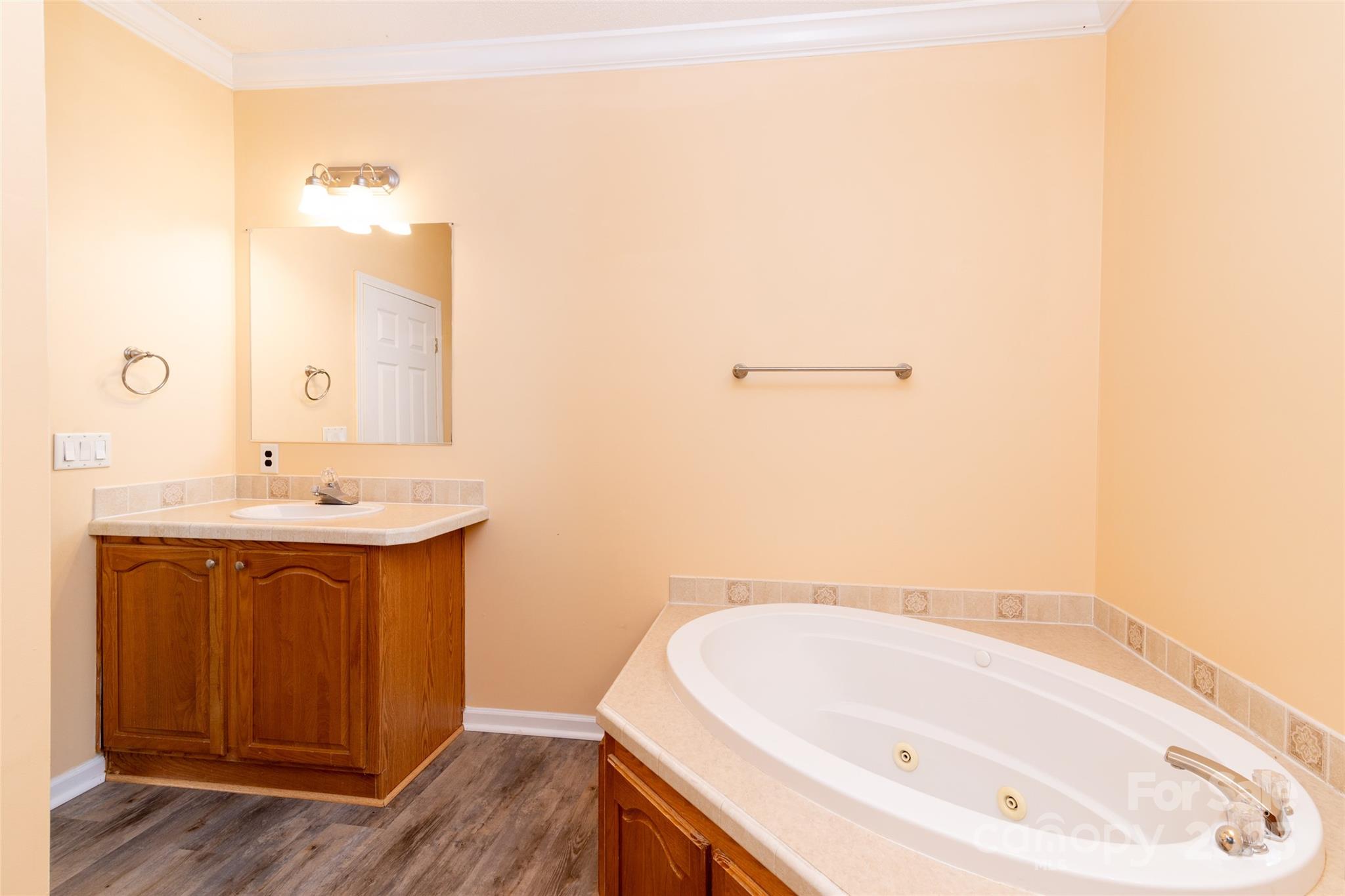 407 Monteith Gap Road Cullowhee, NC 28723 - Photo 17 of 23 a bathroom with a bathtub and a sink