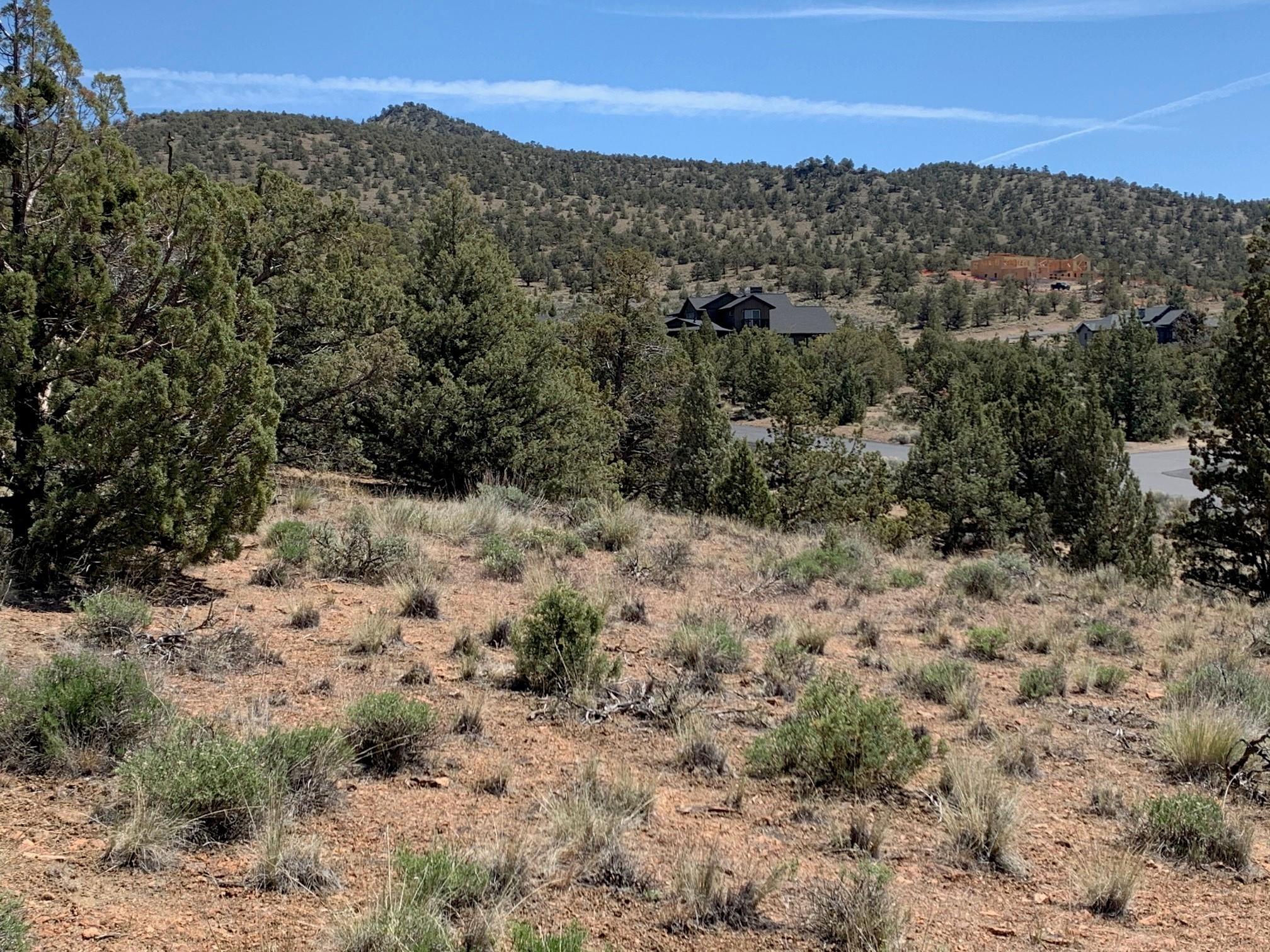 Southwest Hat Rock Loop, Unit HOMESITE 177 Powell Butte, OR 97753 - Photo 21 of 25 177.4
