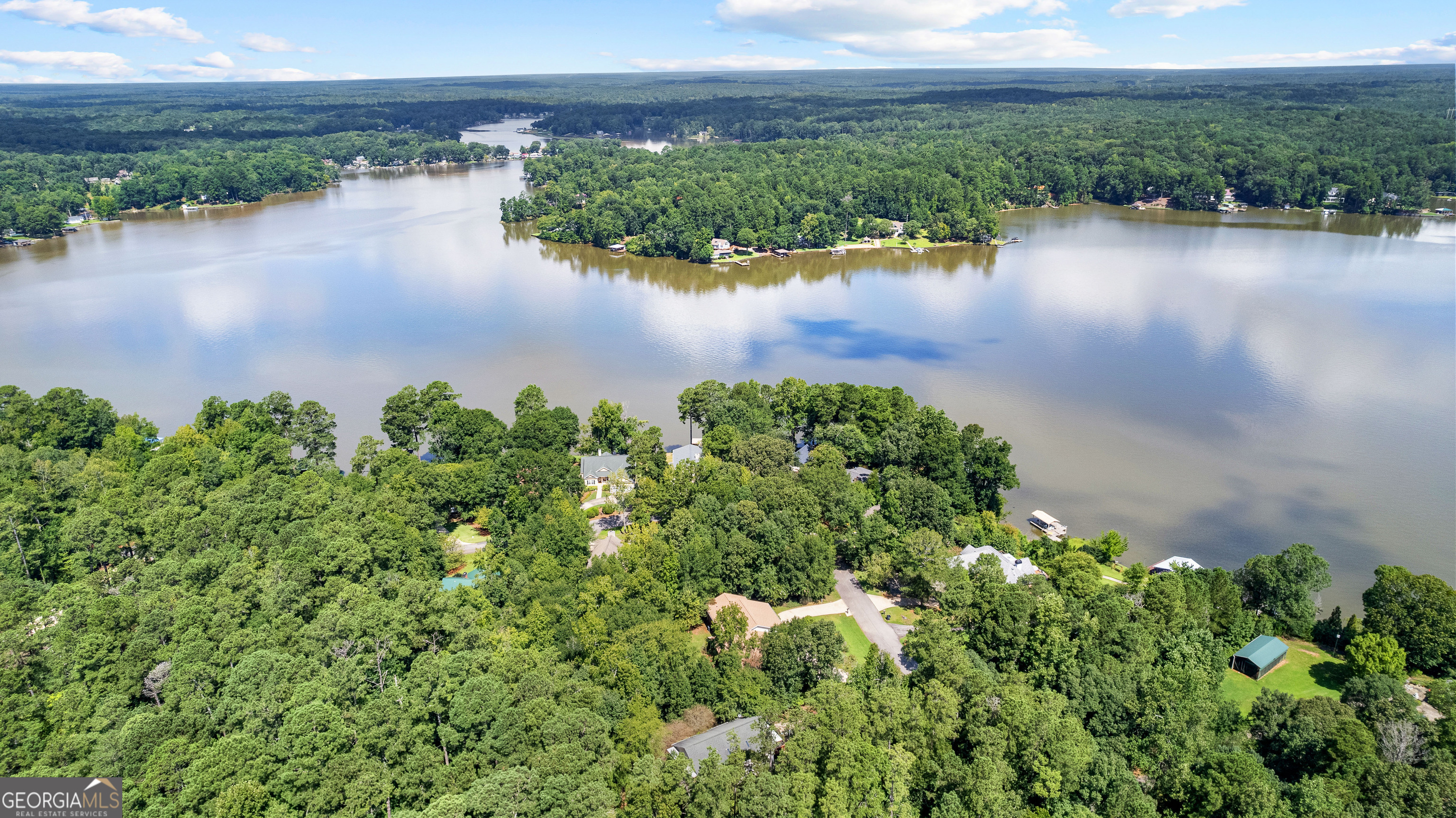 329 Chickadee Court Monticello, GA 31064 - Photo 4 of 59 an aerial view of a houses with ocean view