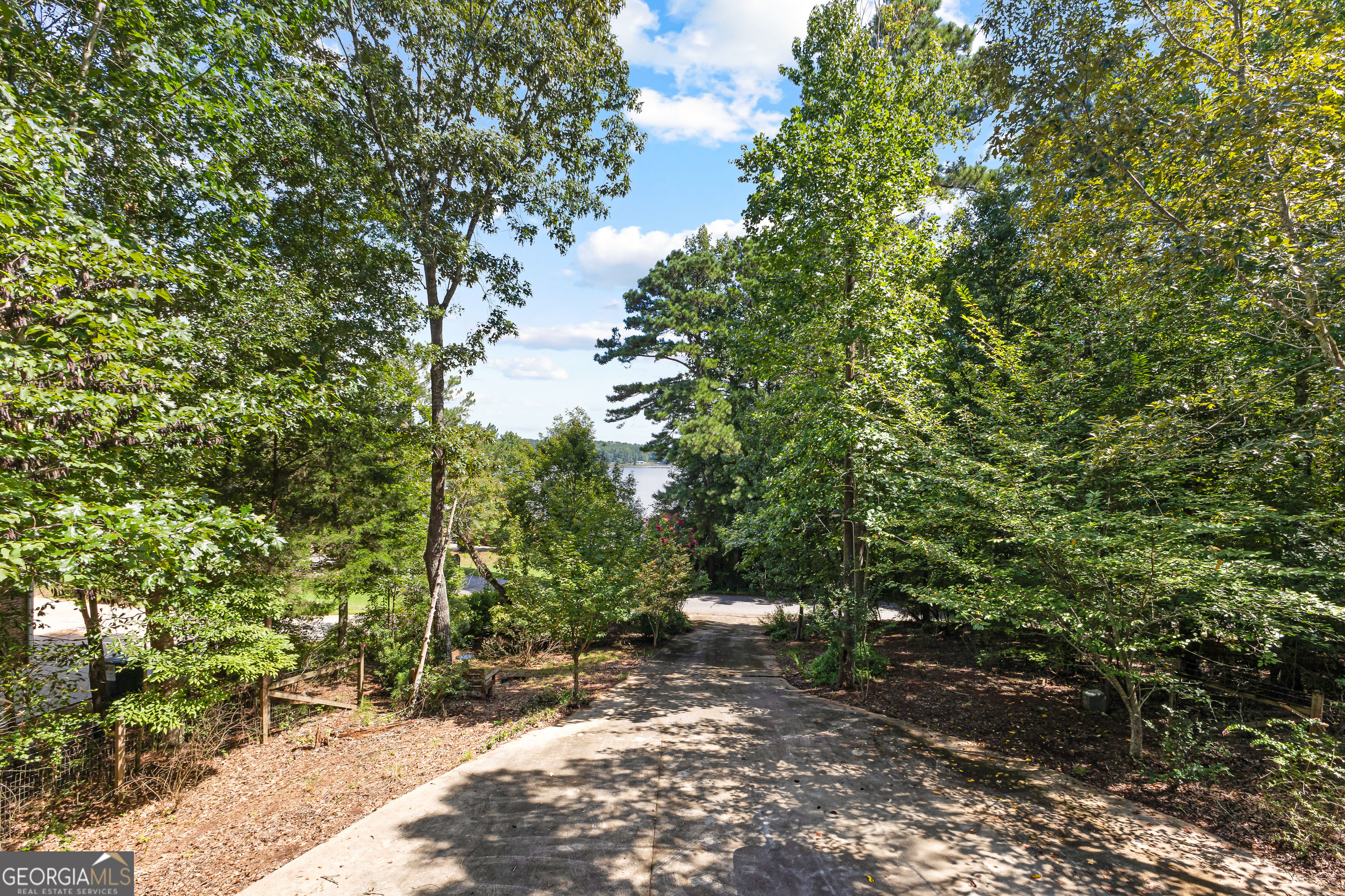 329 Chickadee Court Monticello, GA 31064 - Photo 46 of 59 a view of a forest with trees