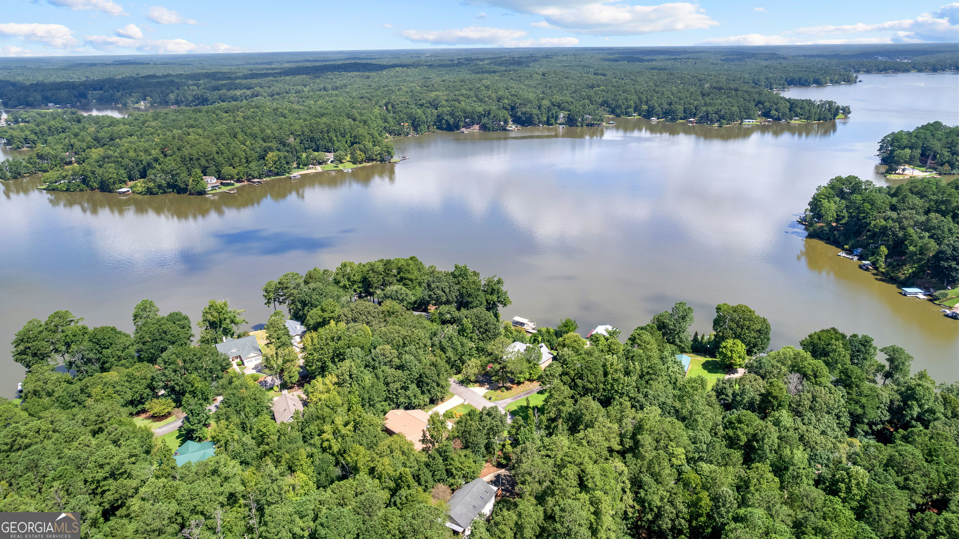 329 Chickadee Court Monticello, GA 31064 - Photo 56 of 59 an aerial view of a houses with lake view