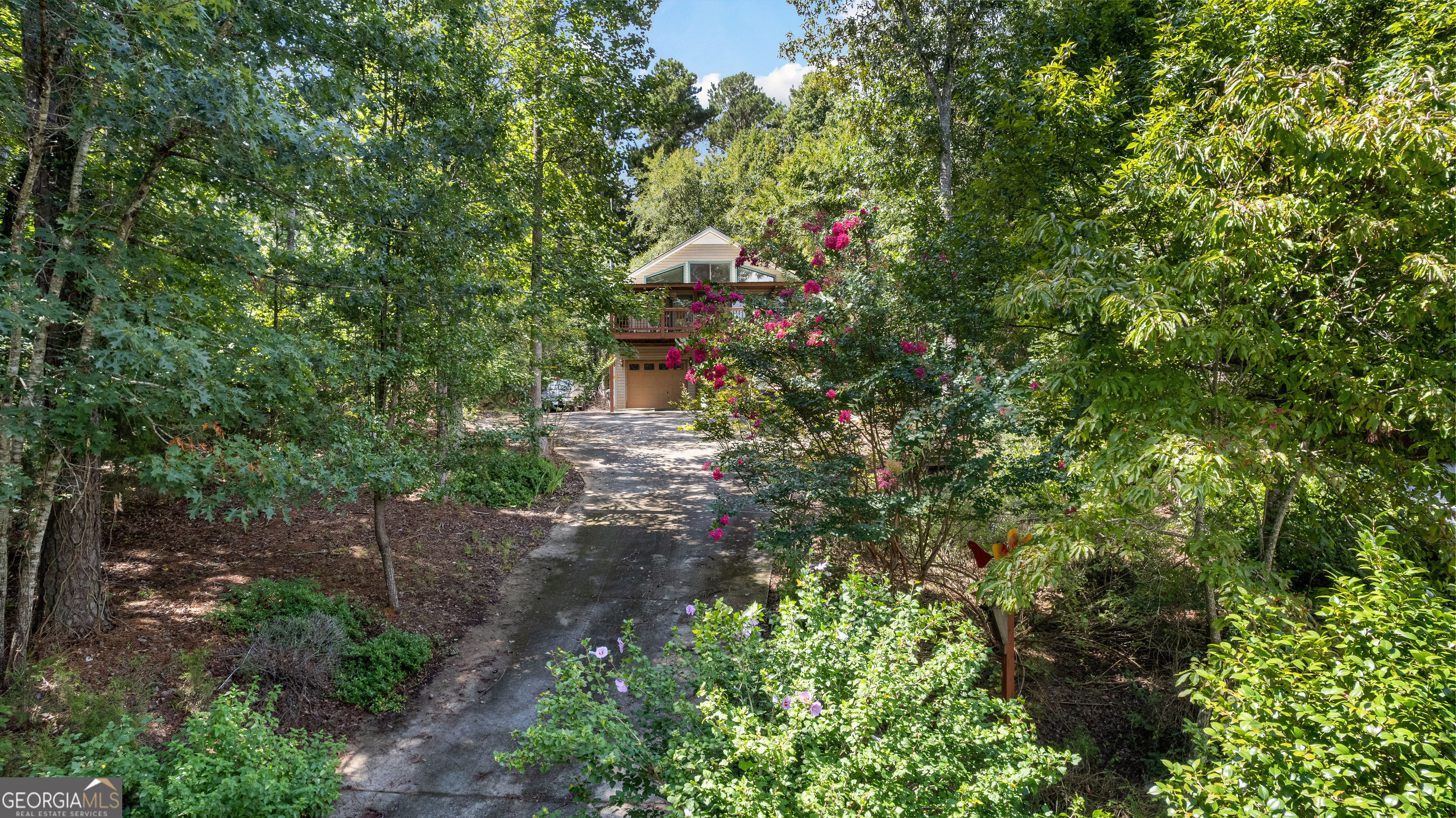 329 Chickadee Court Monticello, GA 31064 - Photo 7 of 59 a picture of tree
