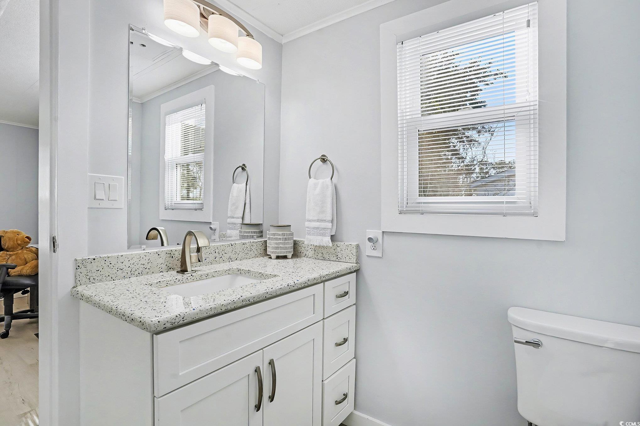 3268 Pecan Trail Murrells Inlet, SC 29576 - Photo 18 of 38 Half bath featuring ornamental molding and vanity