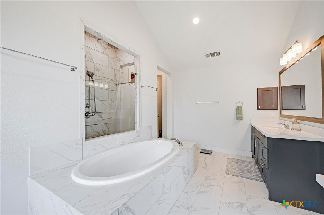 132 Lambs Ear Path San Marcos, TX 78666 - Photo 20 of 43 a bathroom with a sink a toilet and shower
