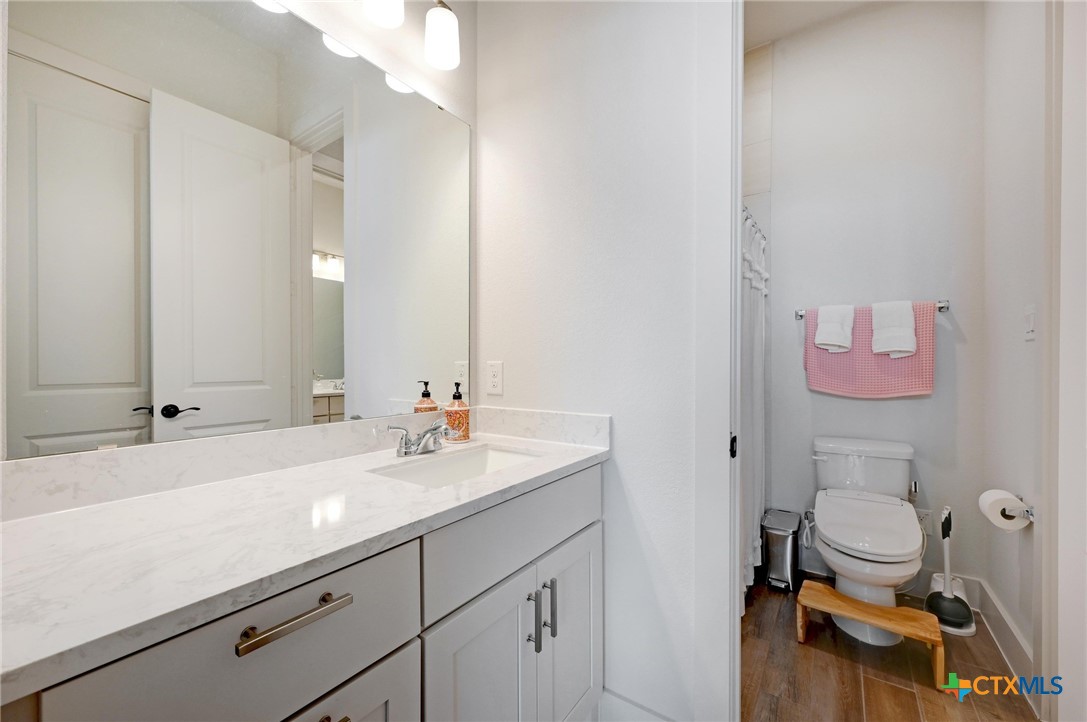 132 Lambs Ear Path San Marcos, TX 78666 - Photo 27 of 43 a bathroom with a sink a toilet and a mirror
