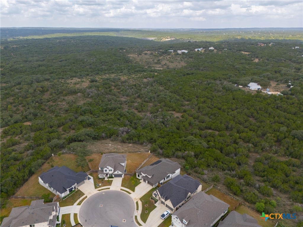 132 Lambs Ear Path San Marcos, TX 78666 - Photo 40 of 43 an aerial view of residential houses with outdoor space