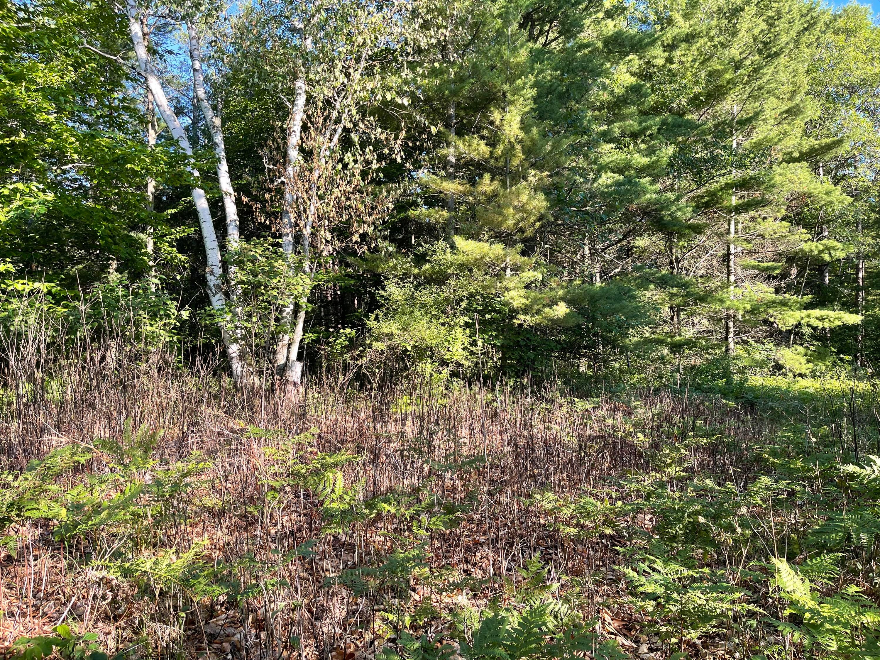 East Spruce Road Mio, MI 48647 - Photo 8 of 13