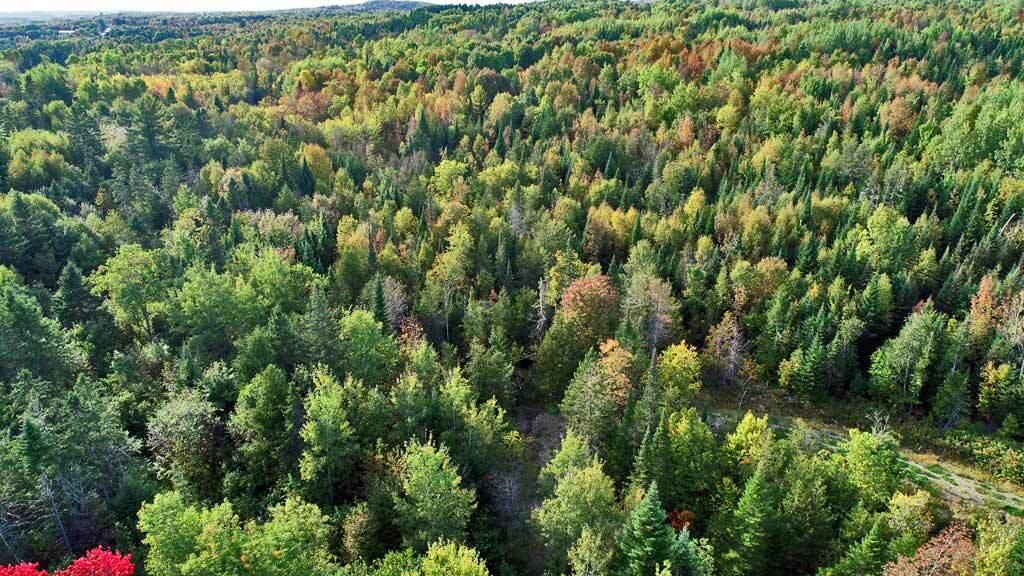 1719 Ludlow Road Houlton, ME 04730 - Photo 46 of 47 wooded-land-aerial-drone