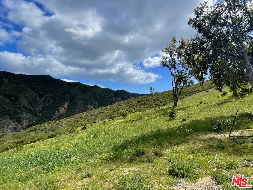 1952 Newell Road Malibu, CA 90265 - Photo 34 of 43