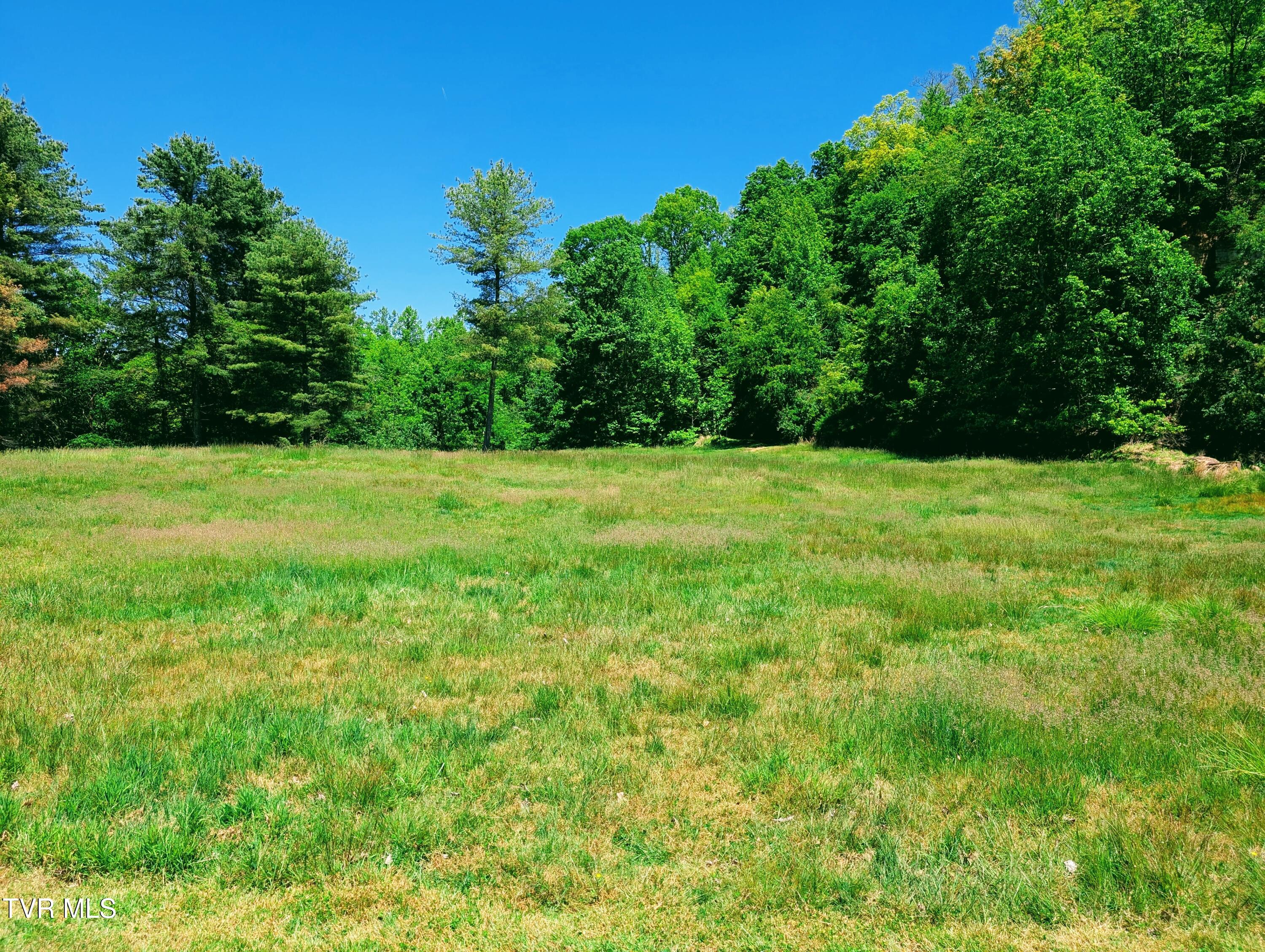 3524 Fairfax Road Coeburn, VA 24230 - Photo 9 of 41 1000022185