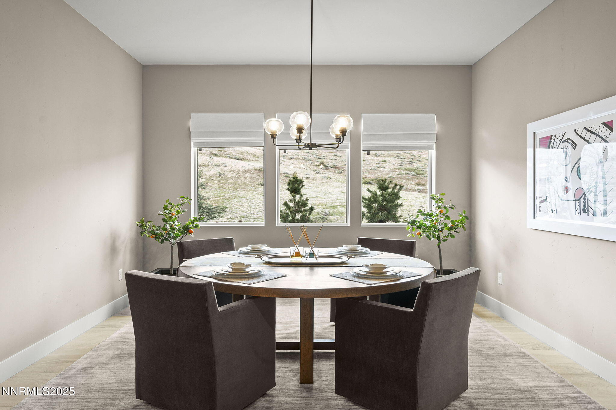 9129 Wild Skies Way Reno, NV 89523 - Photo 37 of 45 29-web-or-mls-_DSC0550