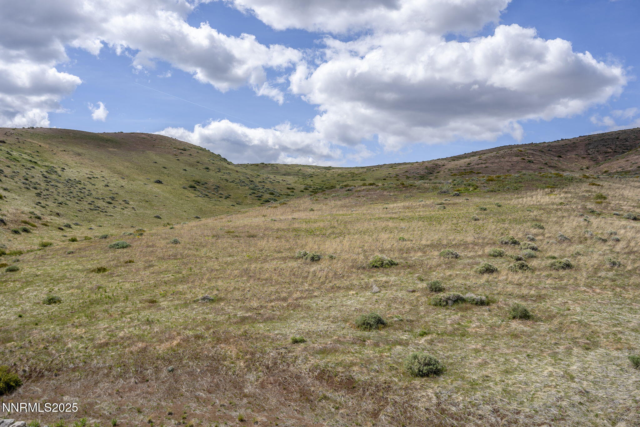 9129 Wild Skies Way Reno, NV 89523 - Photo 6 of 45 50-web-or-mls-_DSC0228