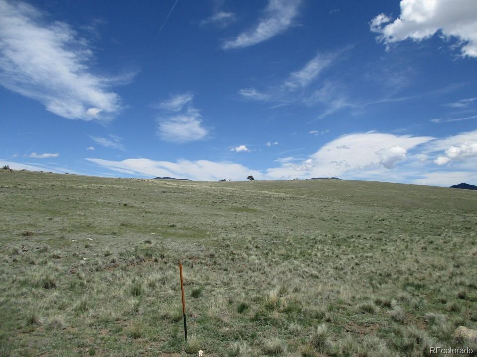 627 Chase Gulch Road Hartsel, CO 80449 - Photo 20 of 23