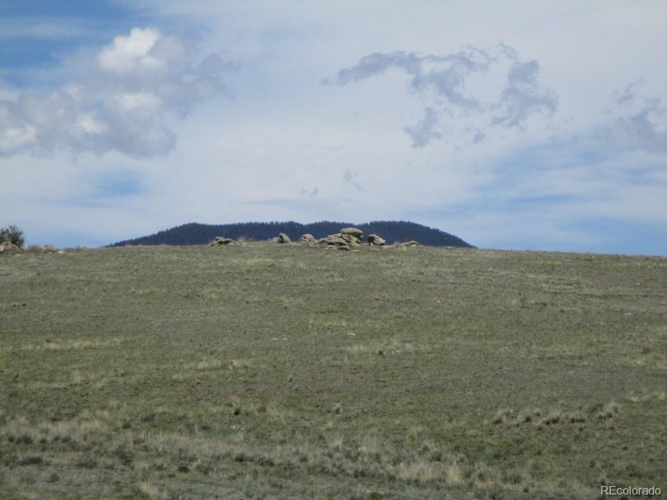 627 Chase Gulch Road Hartsel, CO 80449 - Photo 21 of 23