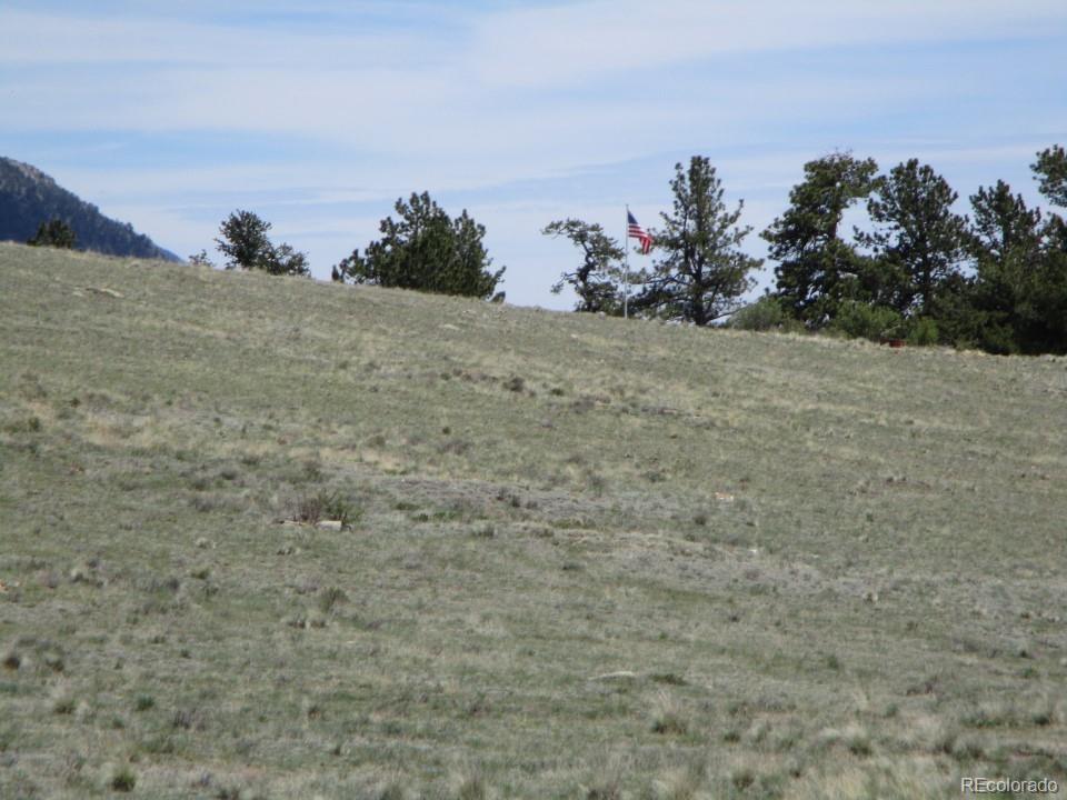 627 Chase Gulch Road Hartsel, CO 80449 - Photo 22 of 23
