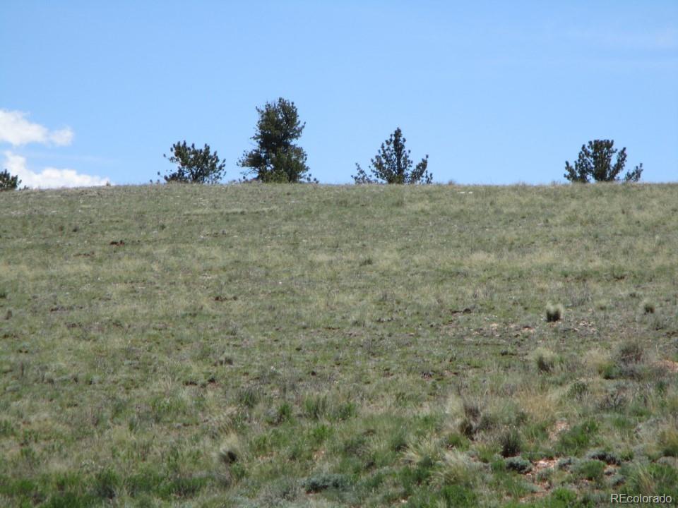 627 Chase Gulch Road Hartsel, CO 80449 - Photo 23 of 23