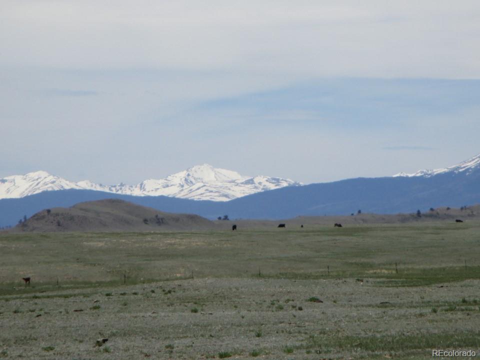 627 Chase Gulch Road Hartsel, CO 80449 - Photo 7 of 23