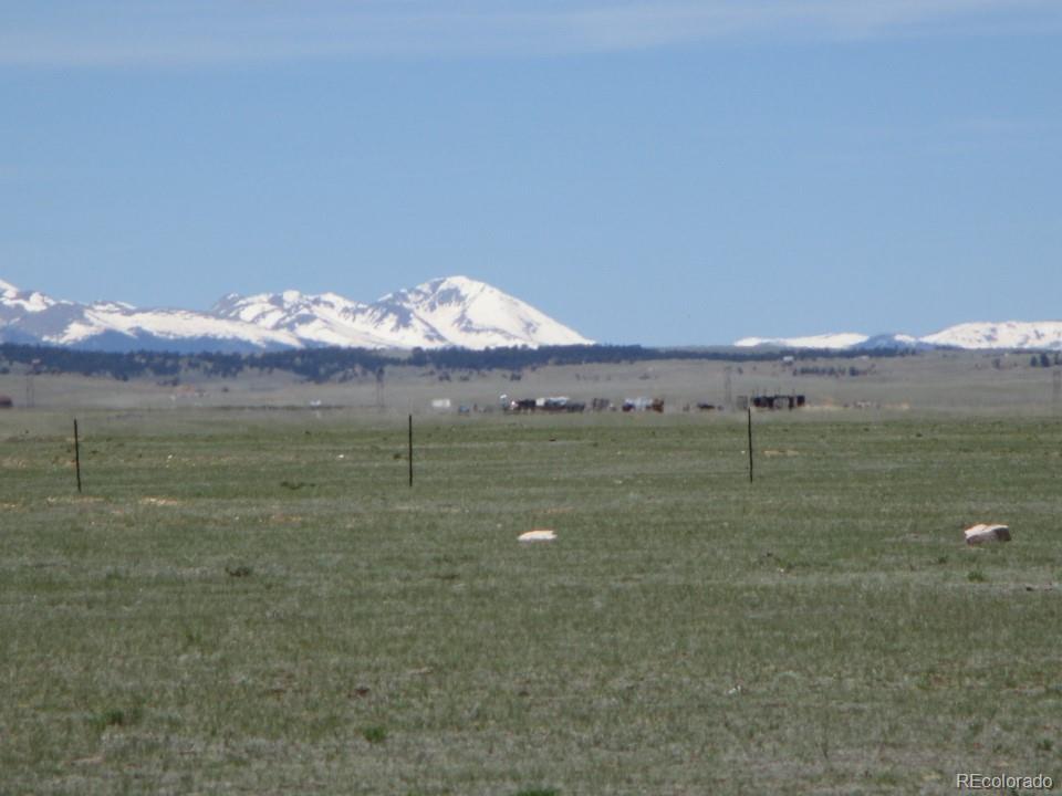 627 Chase Gulch Road Hartsel, CO 80449 - Photo 8 of 23