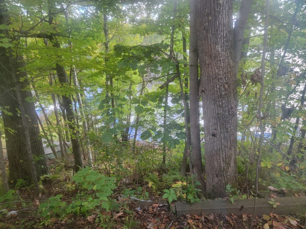 6733 W Golf Course Road Winter, WI 54896 - Photo 34 of 51