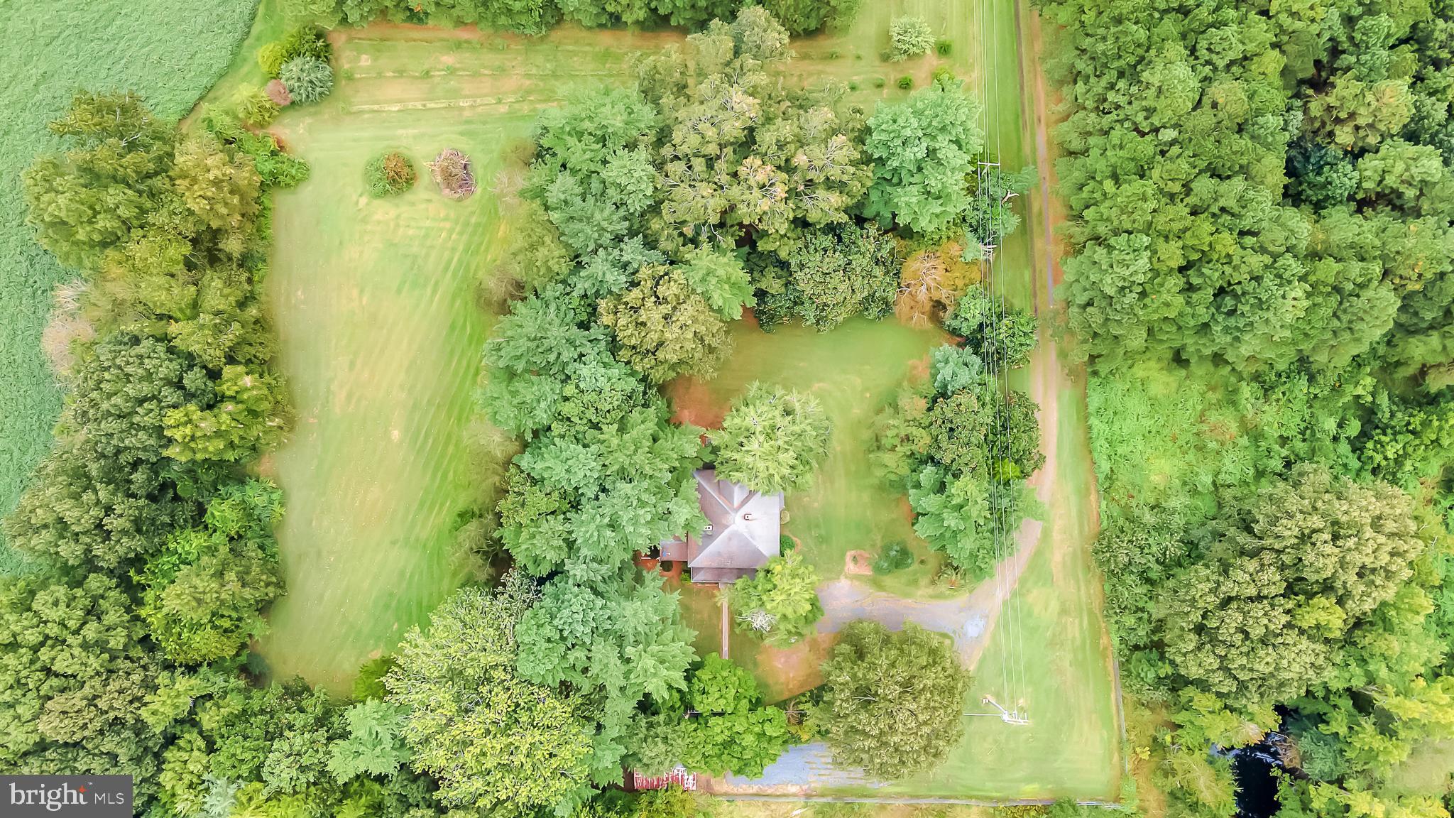 10850 Kemp Nursery Road Princess Anne, MD 21853 - Photo 36 of 47