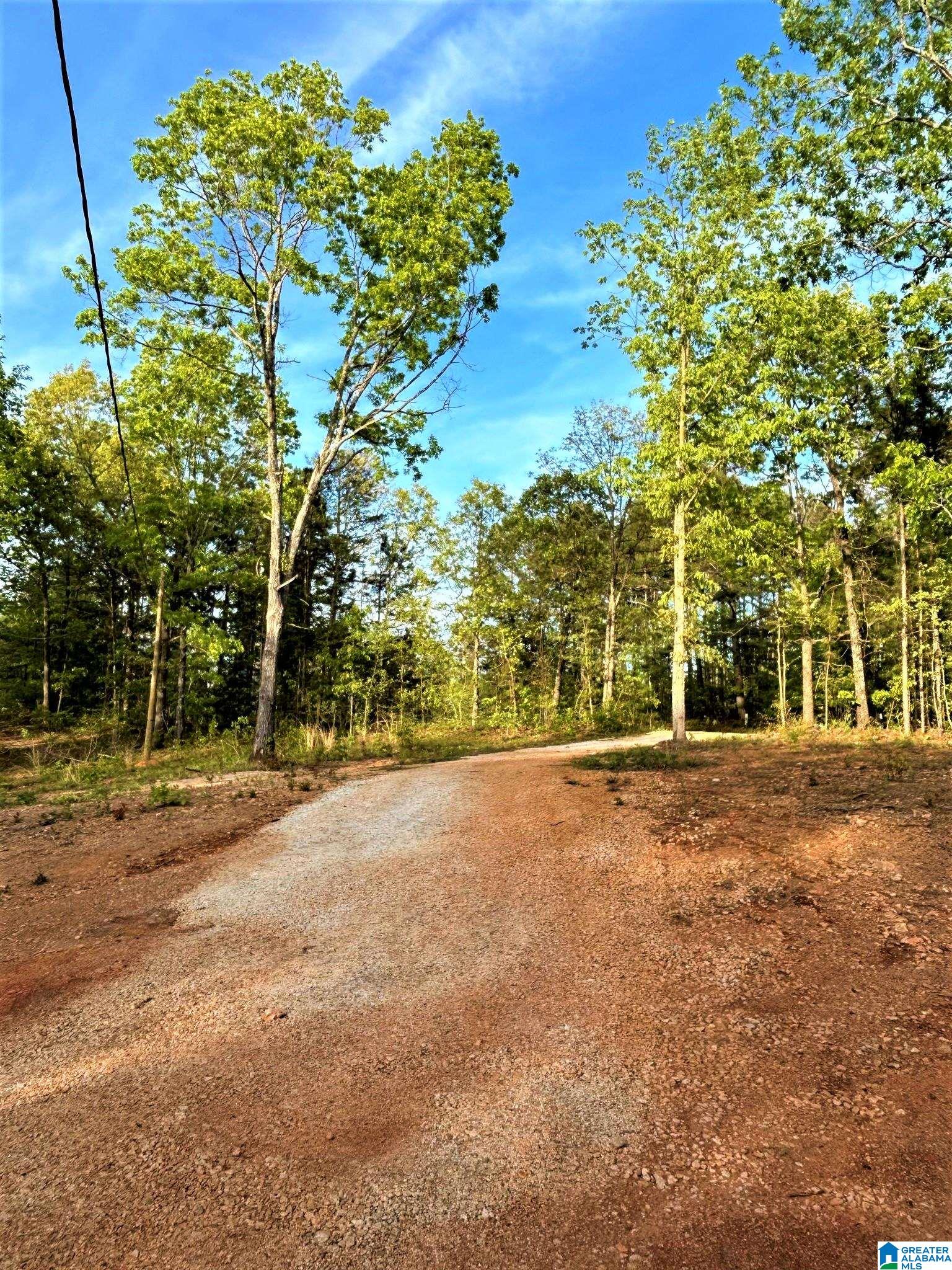 3741 County Road 47, Unit TRACT 1 Heflin, AL 36264 - Photo 7 of 10
