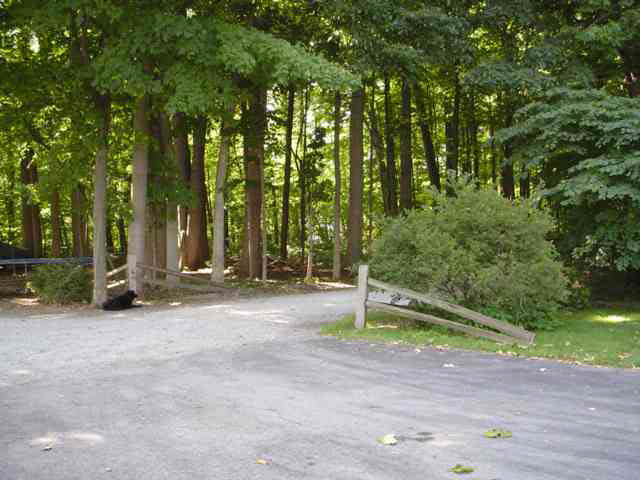 8965 East Crow Road Syracuse, IN 46567 - Photo 9 of 9 Gallery Image 9