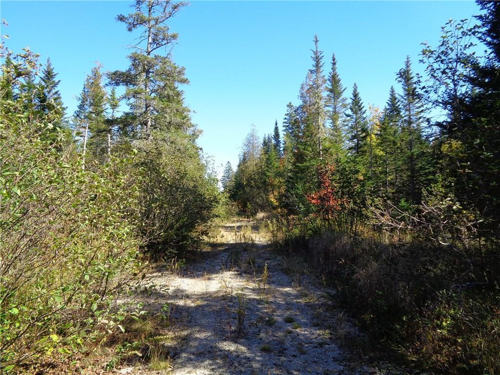 Lot 2 Off Point Street Addison, ME 04606 - Photo 7 of 18 Photo