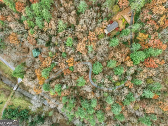 $549,000 | 175 Big Creek Road, Cherry Log, GA 30522