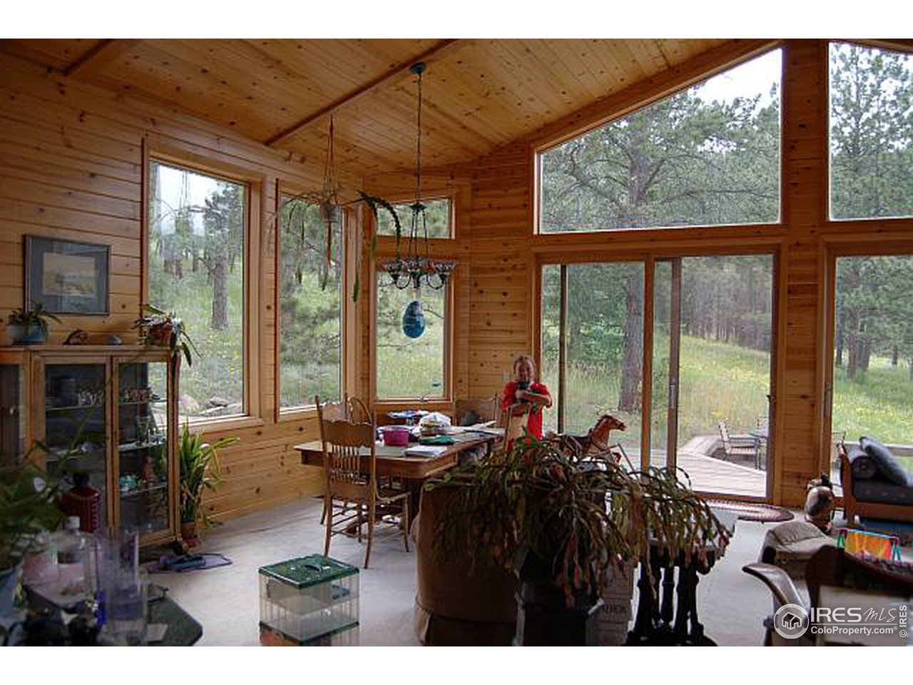 161 Apache Road Lyons, CO 80540 - Photo 10 of 18 Gallery Image 10