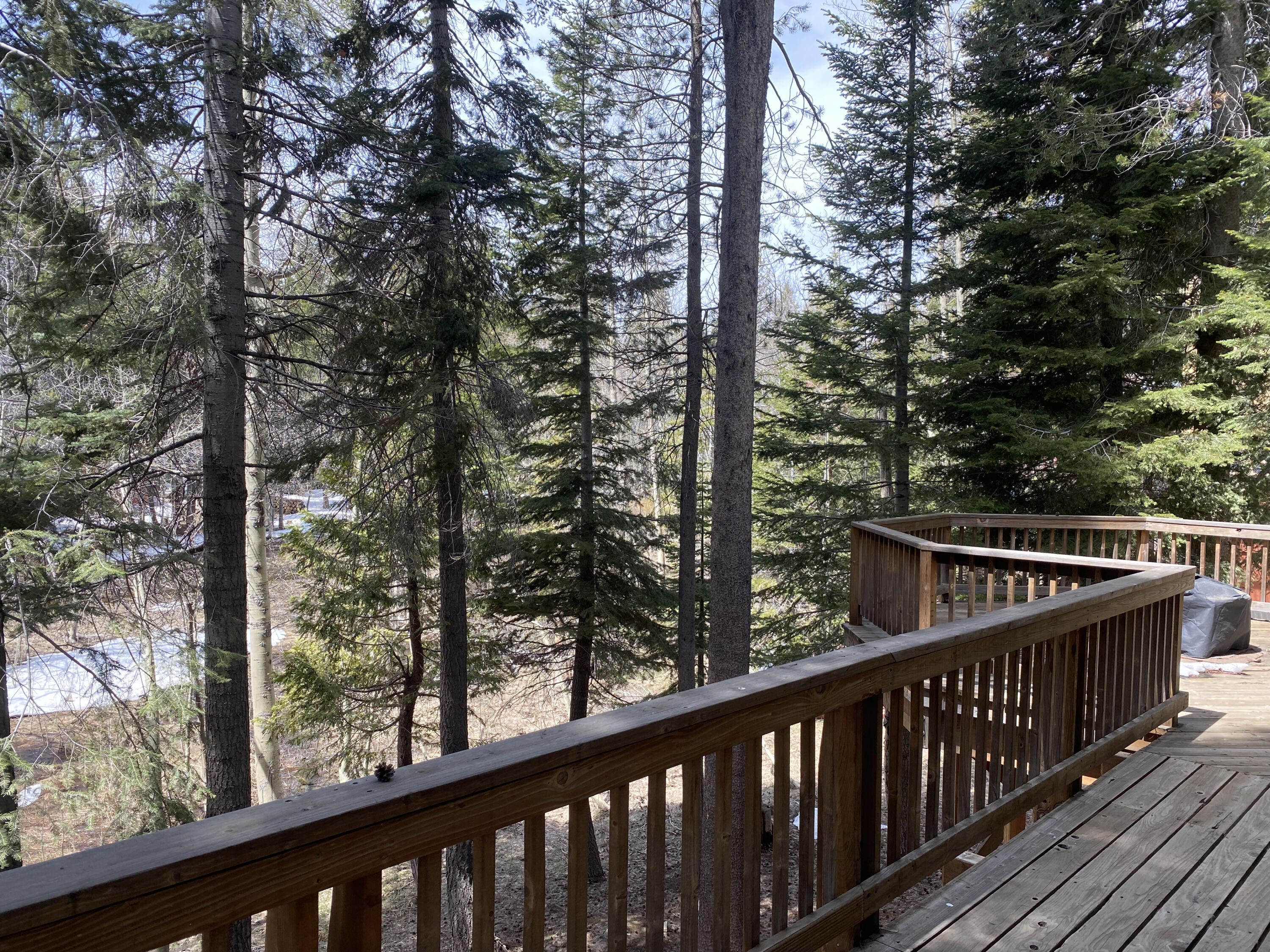 57735 Fox Drive Springville, CA 93265 - Photo 13 of 13 DECK W/ VIEW OF MEADOW