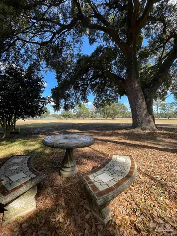 a view of a yard with plants