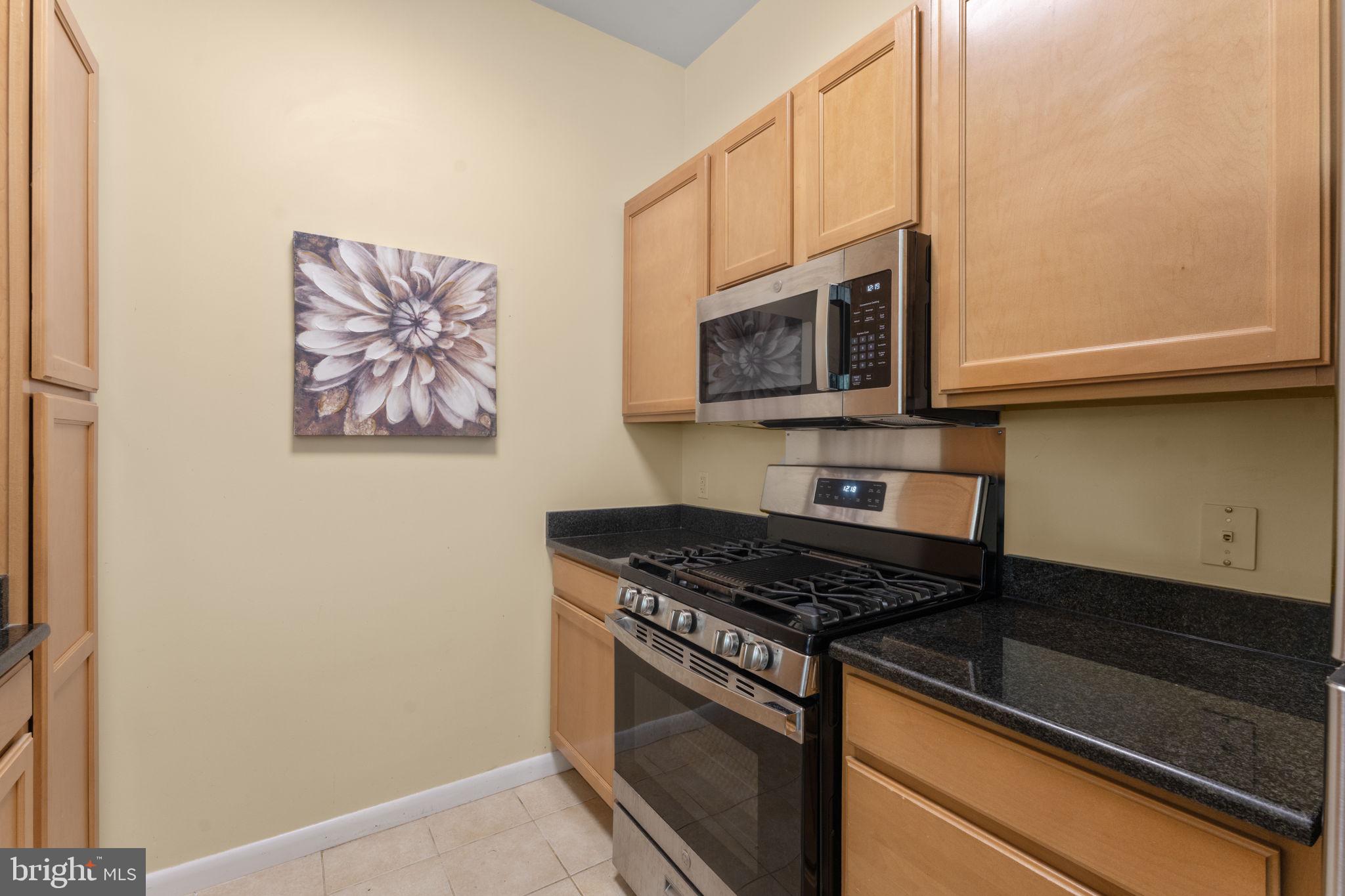 355 I Street Southwest, Unit S104 Washington, DC 20024 - Photo 7 of 64 a kitchen with stainless steel appliances granite countertop a stove microwave and sink
