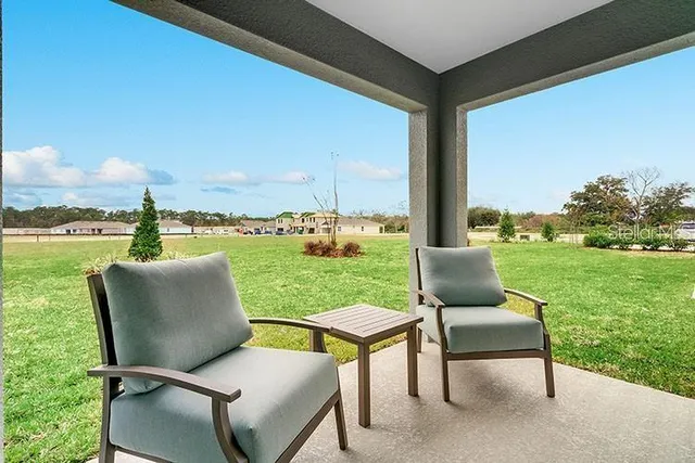 a view of a park with large trees