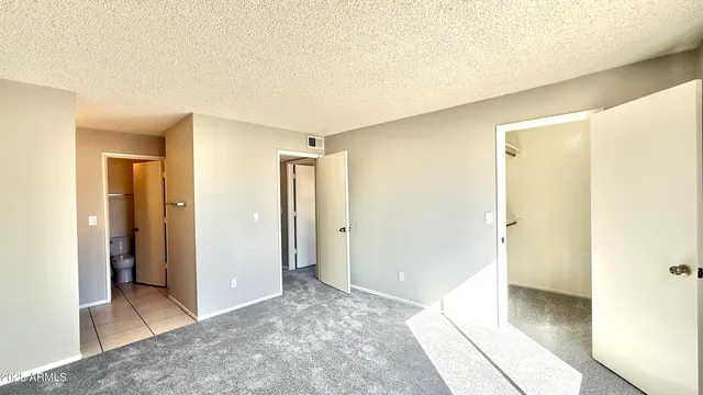 a view of a big room with closet and wooden floor
