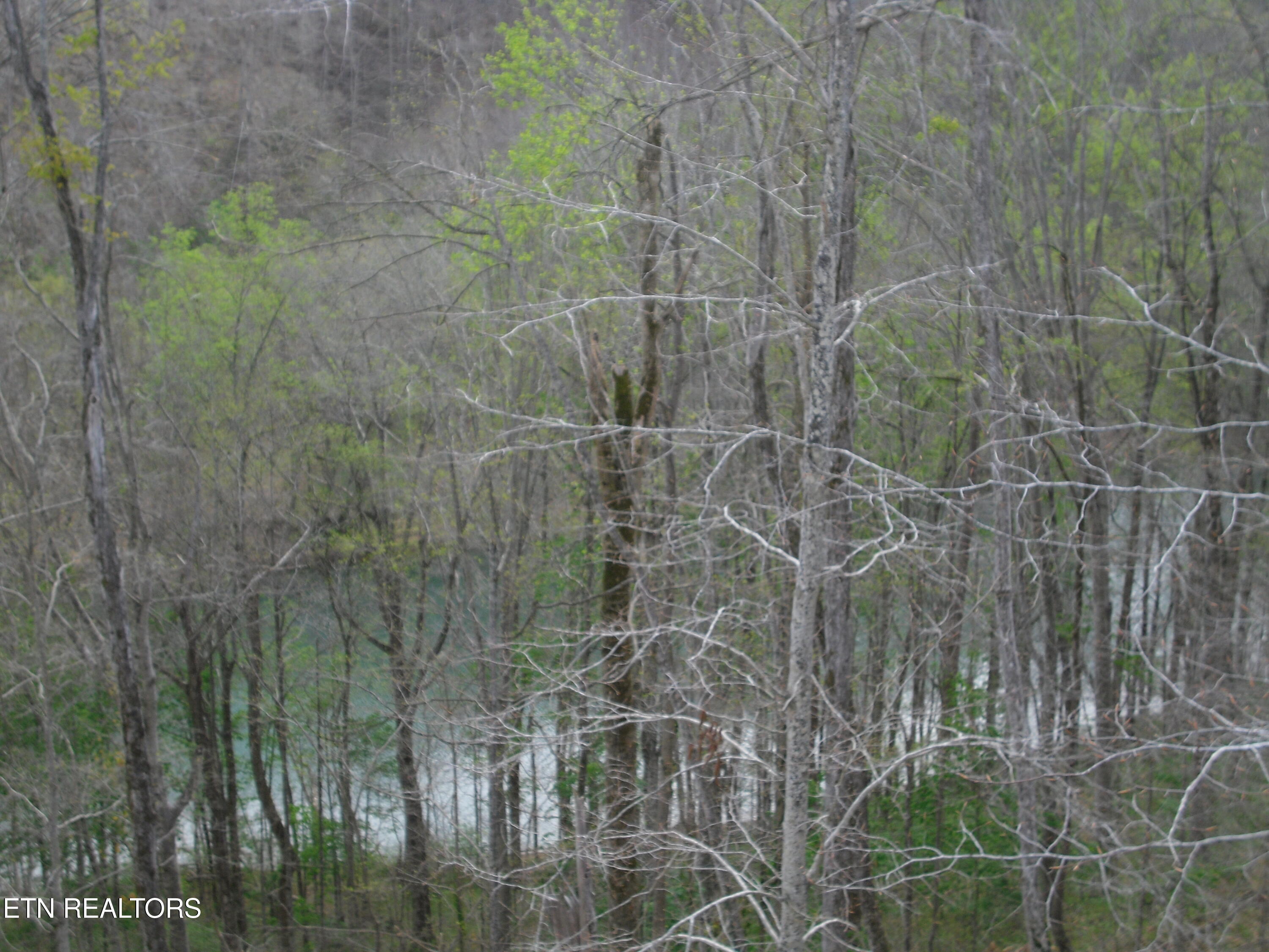 2520 Riverton Road Jamestown, TN 38556 - Photo 5 of 19 SAM_3688