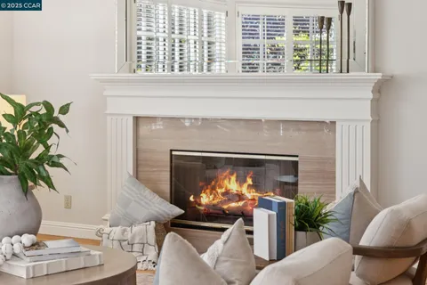 a living room with furniture potted plant and a window