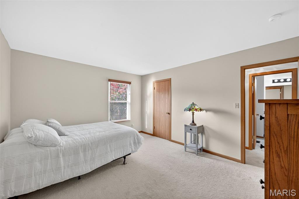 134 Cascade Terrace Drive Ballwin, MO 63021 - Photo 23 of 39