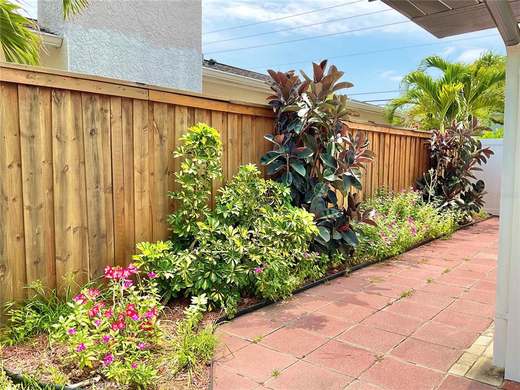 1290 Michigan Boulevard Dunedin, FL 34698 - Photo 35 of 45 a flower plants with wooden fence