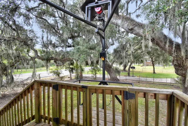 a view of backyard with a deck and trees