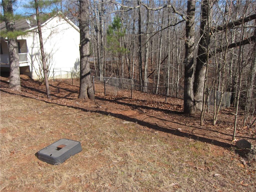 434 Spring Leaf Drive Dallas, GA 30157 - Photo 21 of 26