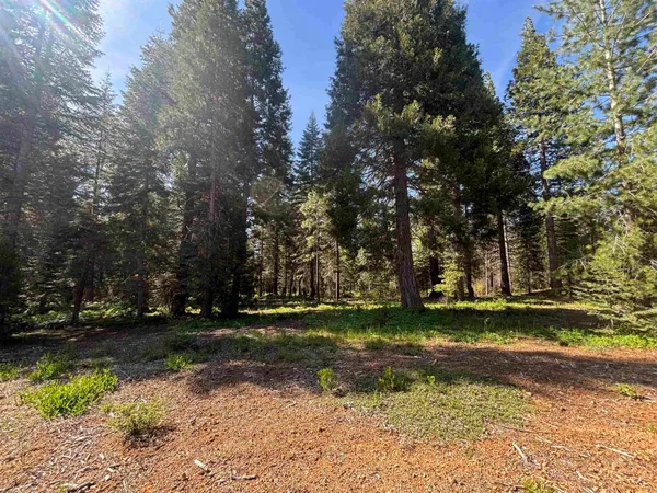 $66,000 | Lot 24 Old Mill, McCloud, CA 96057