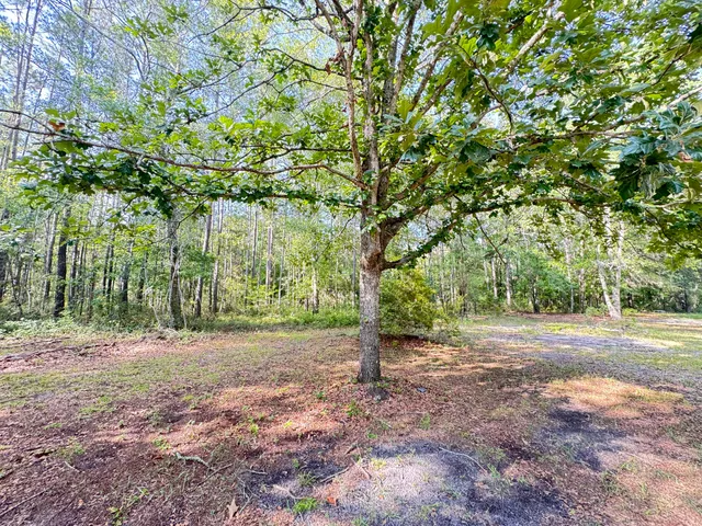 $325,000 | 3486 Rehoboth Road, Cottageville, SC 29435
