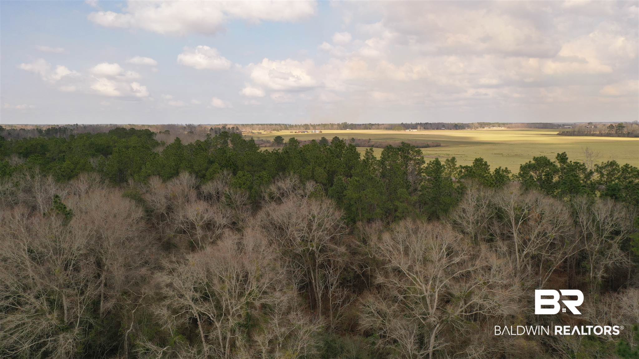 1 North Pine Barren Road Century, FL 32535 - Photo 21 of 25