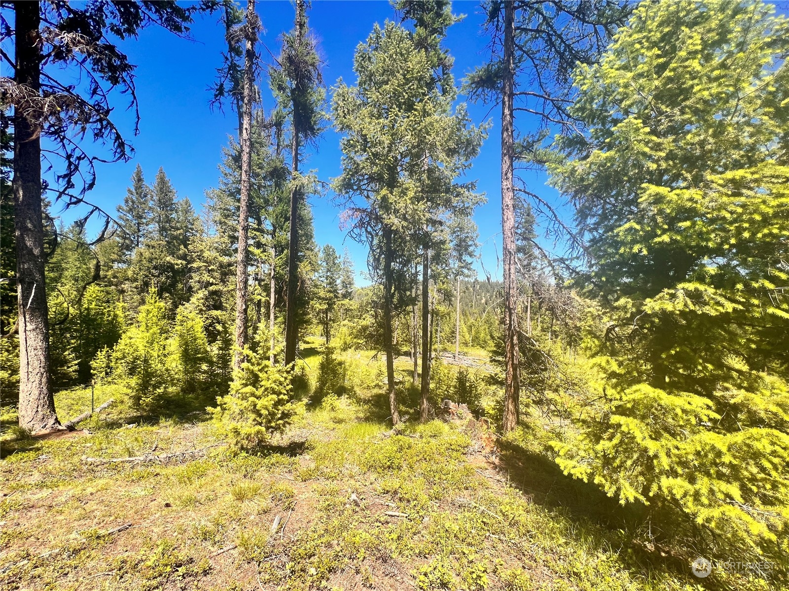 101 Grafton Road Tonasket, WA 98855 - Photo 12 of 24 Gallery Image 12