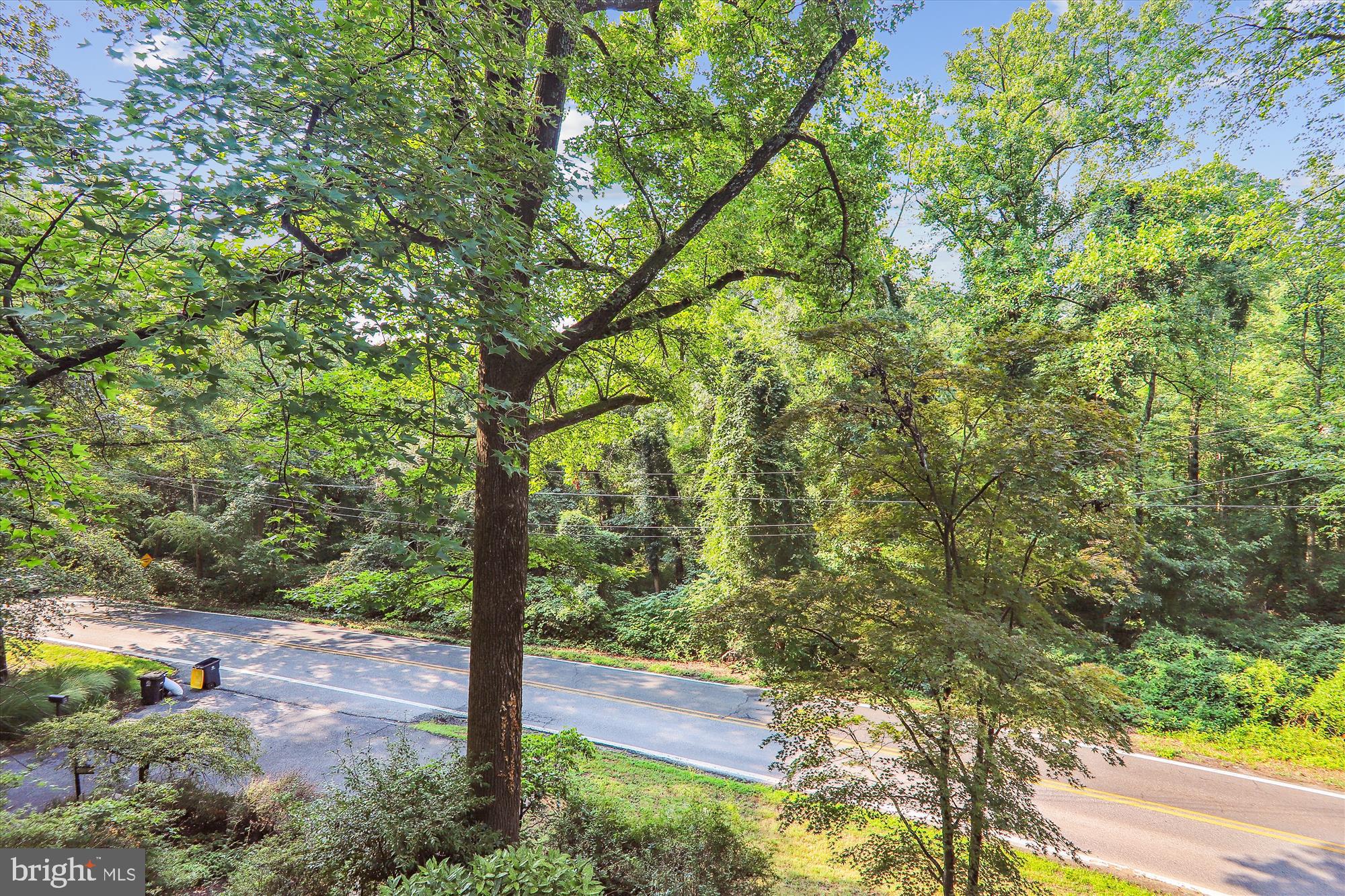 2620 Cool Spring Road Adelphi, MD 20783 - Photo 64 of 81