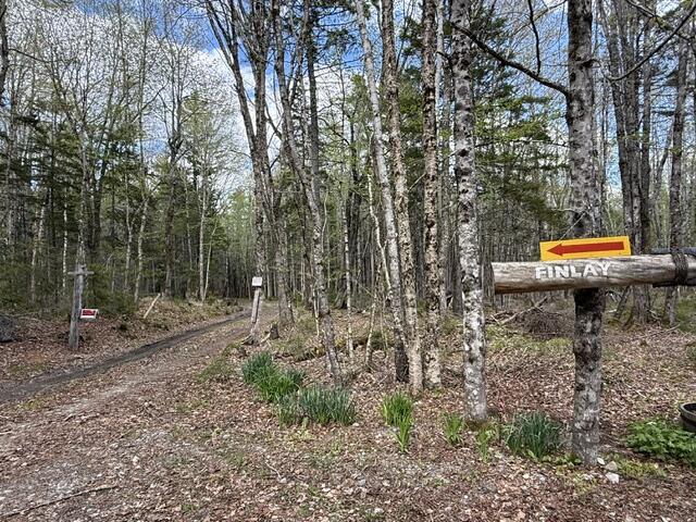 Lot12-part Indian Trail Road East Machias, ME 04630 - Photo 34 of 34 IMG_9912 (1)